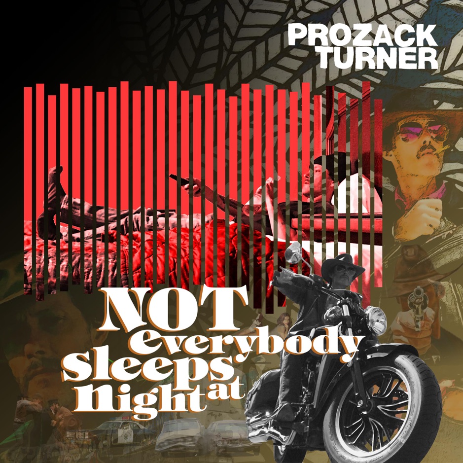 Prozack Turner - Not Everybody Sleeps At Night